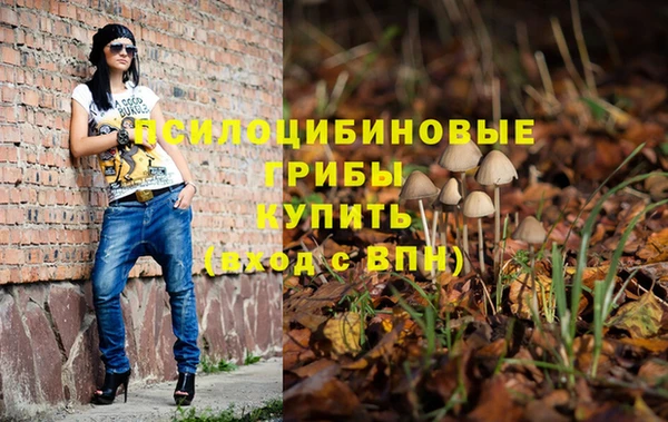 прущие грибы Заволжск